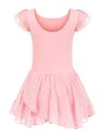 trudge Girls Ballet Dress Ruffle Sleeve Ballet Outfit Gymnastics Dance Leotard Costume Dancewear with Chiffon Skirt Pink /120