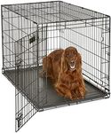 Large Dog Crate | MidWest iCrate Fo