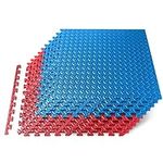 Thick Puzzle Exercise Mat, 10 Pcs EVA Foam Interlocking Tiles Protective Flooring for Gym Equipment and Cushion for Workouts, Durable Non-skid Texture, Easy To Assemble, Red And Blue