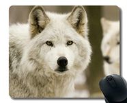 Mouse Pad Non-Skid Natural Rubber Rectangle Mouse Pads,Animal Wolf Tail Gaming Mousepad Mat