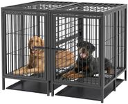 BingoPaw Heavy Duty Dog Crate: 52in