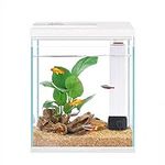 Pronetcus Betta Fish Tank, 2 Gallon