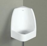 Urinal For Men Bathroom