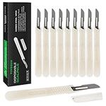 VIVOSUN Disposable Scalpels, 10 High-Carbon Steel Blades, Plastic Handle Individually Foil Wrapped, Box of 10