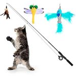 Fishing Pole For Cats