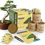 Bonsai Starter Kit - Gardening Gift