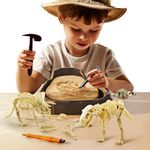 Science Can Dinosaur Dig Kit for Kids, Dig Up Dino Fossil Skeleton Set, Educational Toys for Ages 6+ Year Old Kids, STEM Activity Learning Set for Boys and Girls