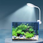 BigTron Full Spectrum Aquarium Light, Small Clip Light for Fish Tank (Blue-Red)