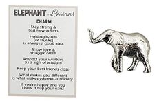 Ganz Stay Strong Life Lessons Elephant Pocket Charm Token with Story Card