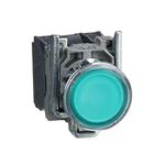 Schneider Electric Illuminated Push Button - Green Flush Color, Metal Material, Universal LED with Plain Lens - 22mm, 1NO/NC Contact Type, 24V AC DC - Quick & Easy Assembly - Harmony XB4 (XB4BW33B5)