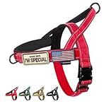Annchwool No Pull Dog Harness with 