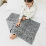 Mr. Sandman Weighted Lap Blanket 2L