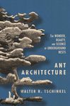 ANT ARCHITECTURE: The Wonder, Beauty, and Science of Underground Nests