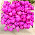 Kapoor Crafts 10 Pcs Artificial Sola Wood Paper Fake Lotus Bud Flowers for Decorations Garland Making Pooja Decor Wedding Housewarming Table Decorations (4 cms)