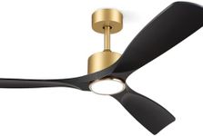 BOOSANT Ceiling Fans with Lights, C
