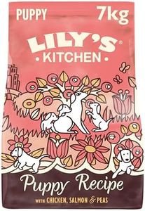 Lily's Kit