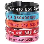 Personalized Dog Collar, Custom Embroidered Pet Name and Phone Number 4 Adjustable Sizes Small Medium Large X-Large Quick Release Buckle and D-Ring