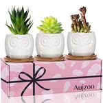 Owl Succulent Pots Gifts for Women 3pcs for Friends White Modern Decorative Ceramic Flower Planter Plant Pot with Drainage -, Garden Decor Planter Succulent Pots