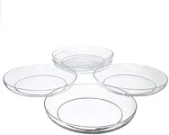 Royal Imports 11" Clear Plastic Saucer Plant Drip Tray, Low Pie Plate, Floral Flower Dish, Wedding, Party, Home and Holiday Decor, 6 Pack