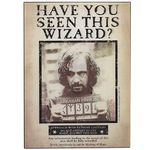 Open Road Brands Sirius Wanted Poster Harry Potter Wood Wall Décor