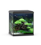 JUWEL Aquarium VIO Cube 54 Aquarium Black