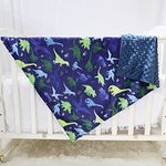 Baby Blanket for Kids Super Soft Minky Blanket with Dotted Backing, Toddler Blanket with Dinosaurs Multicolor Printed