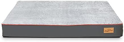 BingoPaw XLarge Dog Bed Memory Foam Dog Bed, Large Grey Orthopaedic Dog Bed with Orange Trim Washable and Water Resistant XL