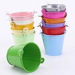 VALINK 12 Pcs Colorful Mini Bucket, Metal Bucket, Candy Favours Box Pail, Small Desk Stoage Bucket, Wedding Party Gifts Supplies - 5.6 * 6.1cm