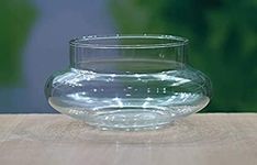 Glass Bowl For Plants