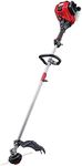 Troy-Bilt 41BD304S766 17cc 17 in. G