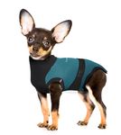 MAXX Dog Recovery Suit – Breathable, Cozy Post-Surgery Suit for Wounds – E-Collar, Cone Alternative (Peacock Blue Grey, XS)