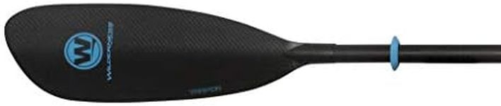 Wilderness Systems Tarpon - Carbon 