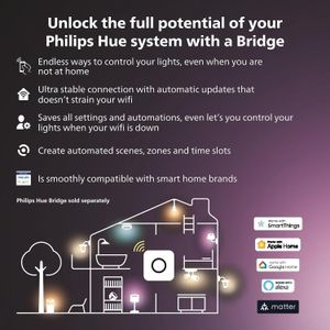 Philips Hue Gradient Lightstrip – 55 Inch Smart LED Strip