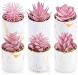 Der Rose 6 Pack Fake Plants Succulents Plants Artificial for Bathroom Home Office Desk Accessories for Women