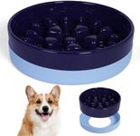 Sted Ceramic Slow Feeder Dog Bowls with Silicone Base, Slow Feeding Dog Bowl Small Medium Breed, Dog Food Bowls for Fast Eaters, Slow Down Eating, Puzzle Dog Food Bowl, Maze Blue