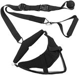 Neck Traction Device, Professional 