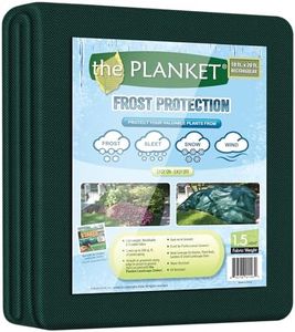 the Planke