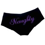 Naughty Fun Womens Funny Underwear Hipster Panty, Purple, Small