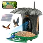lollyes Smart Bird Feeder Camera with 64G Card, 1080P HD Identify Bird Species, Bird House with 7W Solar Panel for Wild Bird Watching, Outdoor, Garden, Bird Lover,Greens