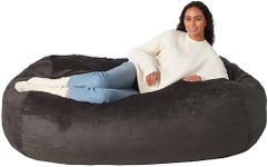 Amazon Basics Memory Foam Filled Be