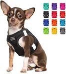 CollarDirect Step-in Reflective Dog Harness - Any Weather Air Mesh for Small and Medium Dogs Easy to Put On and Off (Size M, Black)