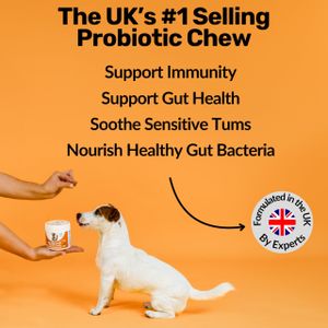 NutriPaw Digestive Treats for Dogs – Probiotic Chews