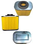 LEONARDO Air Filter Compatible for TVS Star City/Star City+ / Phoenix | Air Filter For Bike Motorcycle & Scooter | High Capacity | Engine Air Filter with Optimal Efficiency | Pack of 1