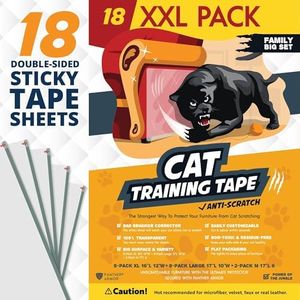 Cat Scratc
