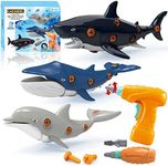 KAEGREEL Take Apart Ocean Shark Toy