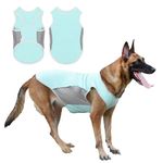 Sports Fan Pet Clothing