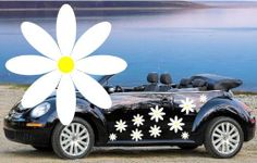 32,WHITE DAISY FLOWER VINYL CAR DECALS,STICKERS,CAR GRAPHICS,DAISIES