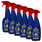 Jeyes BBQ Cleaner (6 x 750ml) – Fast-Acting Formula Cuts Through Burnt-On Food and Grease - Oven Cleaner Heavy Duty - Odour and Taint-Free - Safe for Grills, Racks and BBQ Surfaces