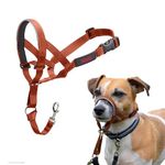 HALTI Headcollar - to Stop Your Dog Pulling on The Leash. Adjustable, Reflective and Lightweight, with Padded Nose Band. Dog Training Anti-Pull Collar for Small Dogs (Size 1, Burnt Orange)