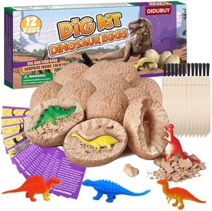 Dino Eggs 